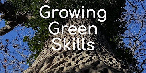 Growing Green Skills, A Practical Sustainability Course at Avnø Ecovillage.  primärbild