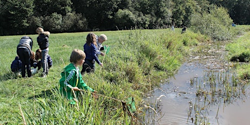 Imagem principal do evento Kindermiddag 'Wat leeft er in de Reest'