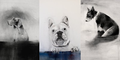 Primaire afbeelding van Short Course: Create Your Own Pet Portraits