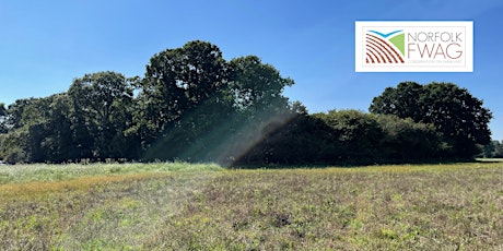 FWAG Farm Walk - Hildebrand Farm, Beeston St. Lawrence