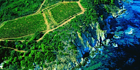 Italian Renaissance Wine Tasting  primärbild