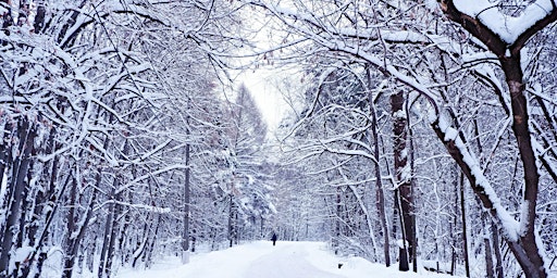 Hauptbild für Walking Through Winter: Journeying Through Loss