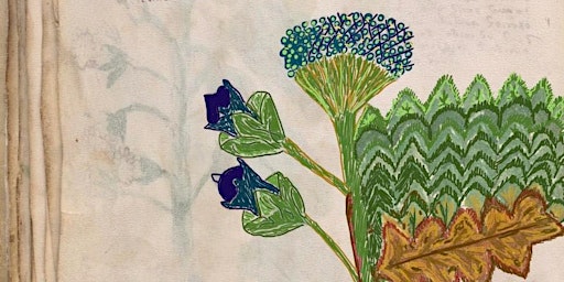Imagem principal de Savouring the Middle Ages through its Herbs: Iconography of Phytoalimurgia