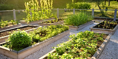 Outdoor Raised Beds Sessions primary image