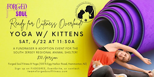 Imagem principal do evento Kitten Yoga! A Playful & Fun Fundraiser!