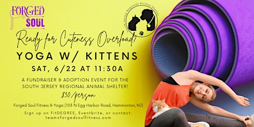 Image principale de Kitten Yoga! A Playful & Fun Fundraiser!