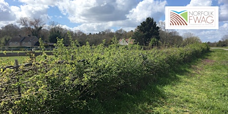 FWAG Farm Walk - Hall Farm, Knettishall