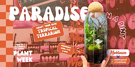 Hauptbild für Paradise in a Pint