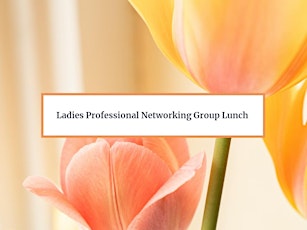 Ladies Professional Networking Group Lunch