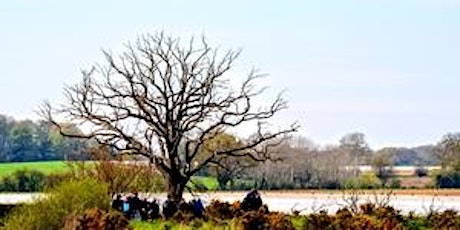 Nature walk at Martlesham Wilds Reserve. (DZC2986)