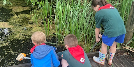 Nene Wetlands Pond Dipping and Mini Beasting