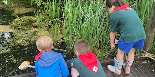 Imagem principal do evento Nene Wetlands Pond Dipping and Mini Beasting