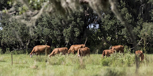 Imagem principal de Herd Health Seminar - Getting the most out of your vaccines.