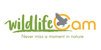 Hauptbild für WildlifeCam Launch Event