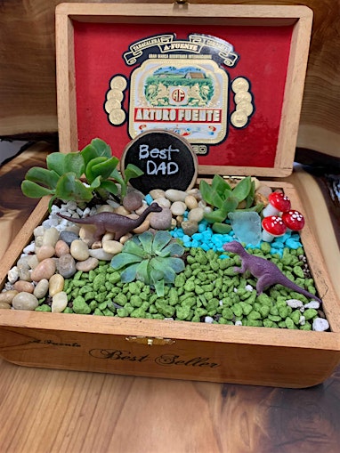 Plant Nite: Make a Succulent Terrarium primary image