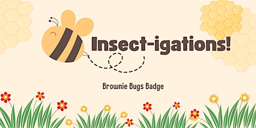 Girl Scouts Brownie Bugs Badge primary image