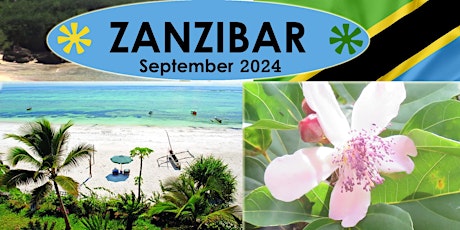 10 Day Wellness & Cultural Retreat Zanzibar