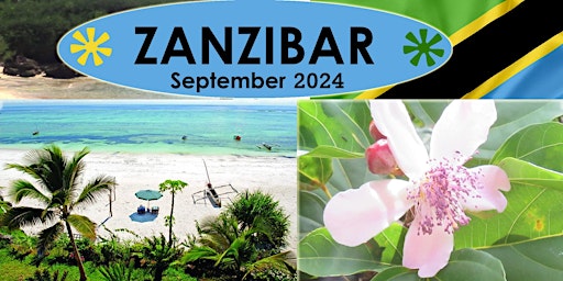 Imagem principal do evento 10 Day Wellness & Cultural Retreat Zanzibar
