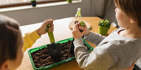 Nene Wetlands- Build your own wooden window box