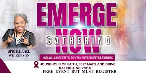 Imagen principal de EMERGE NOW GATHERING