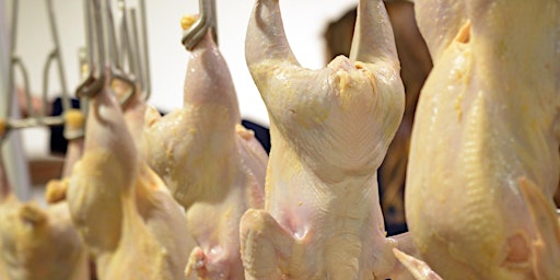 Primaire afbeelding van Watauga County Poultry Processing Workshop