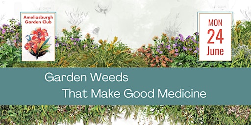 Imagem principal do evento Garden Weeds That Make Good Medicine