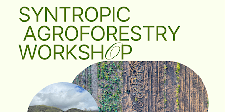 Syntropic Agroforestry Workshop
