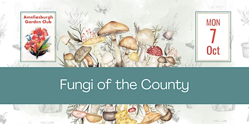 Hauptbild für Fungi of the County