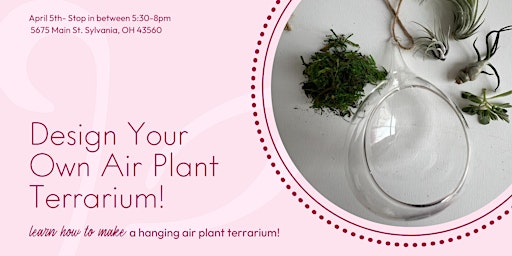 Design Your Own Air Plant Terrarium! primary image