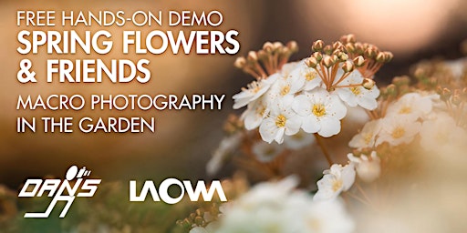 Imagem principal do evento Spring Flowers & Friends: Free Macro Photography session at Dan's