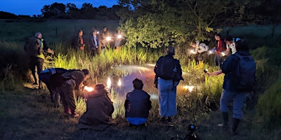 Hauptbild für Amphibian survey training workshop with Sussex ARG – Practical Session