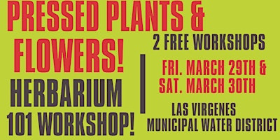 Imagen principal de Pressed Native Plants & Preserving Local Flowers! (Herbarium 101 Workshop)