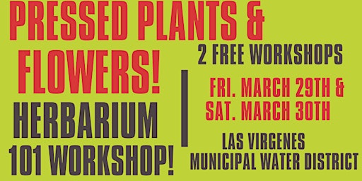 Pressed Native Plants & Preserving Local Flowers! (Herbarium 101 Workshop)  primärbild