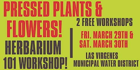 Pressed Native Plants & Preserving Local Flowers! (Herbarium 101 Workshop)