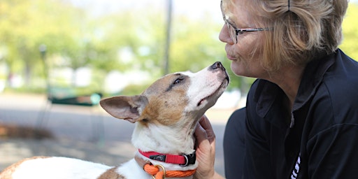 Hauptbild für Pets in Crisis Support Program Open House