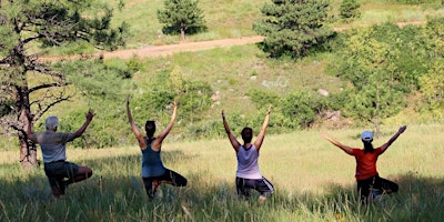 Primaire afbeelding van Hiking Yoga With Laura
