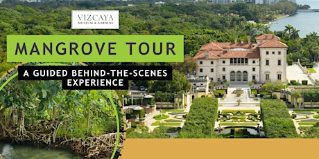 Vizcaya's Mangrove Forest: A Behind the Scenes Guided Tour primary image