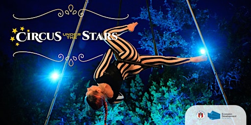 Primaire afbeelding van Circus Under The Stars