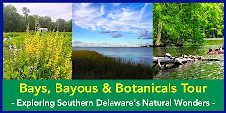 Bays, Bayous & Botanicals Tour primary image