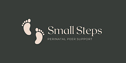 Perinatal Fitness - Small Steps primary image