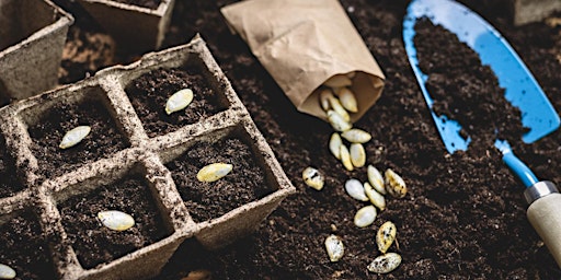 Seed Sowing Workshop primary image
