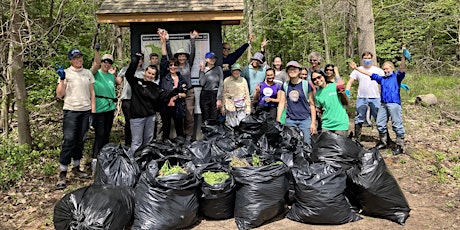 Imagen principal de Rattray Marsh Invasive Species Pull