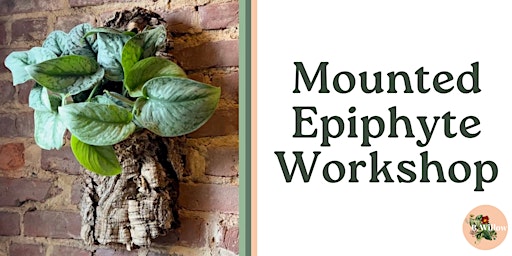Primaire afbeelding van Mounted Epiphyte Workshop