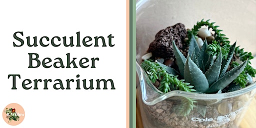 Succulent Beaker Terrarium Workshop primary image