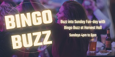 Imagem principal do evento Bingo Buzz | Sunday Fun at Harvest Hall!