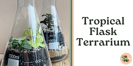 Imagen principal de Tropical Flask Terrarium Workshop