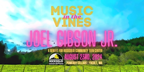 Music in the Vines w/ Joel Gibson Jr.