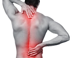 Imagen principal de Back On Track: Key concepts to long term conservative pain management