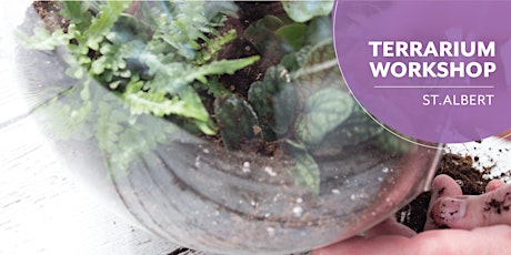 Terrarium | Salisbury Greenhouse | Enjoy Centre | St. Albert