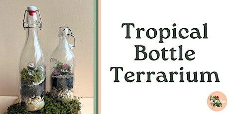 Bottle Terrarium Workshop